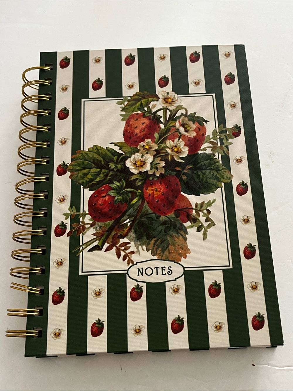 Punch Studio Ringed Note Book NWT